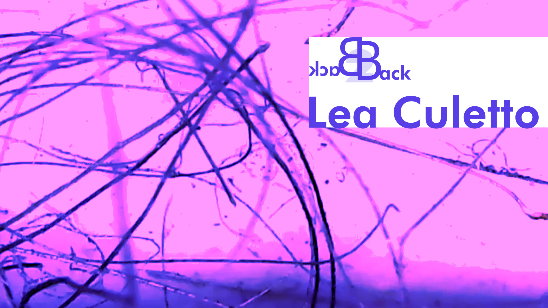 Back2Back: Lea Culleto